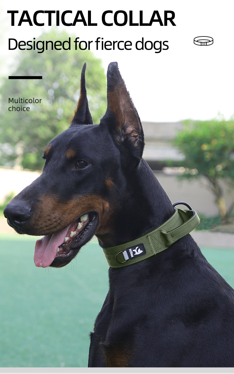 TACTICAL COLLAR Designed for fierce dogs  Multicolor choice