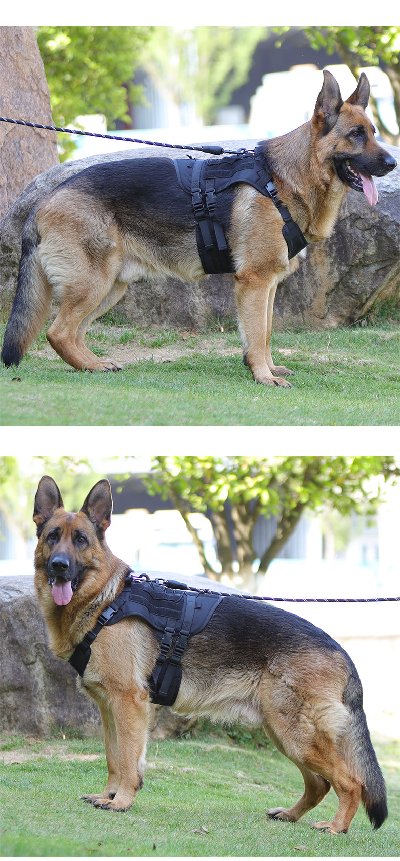 Dog Vest Multifunctional Outdoor Tactical Chest And Back