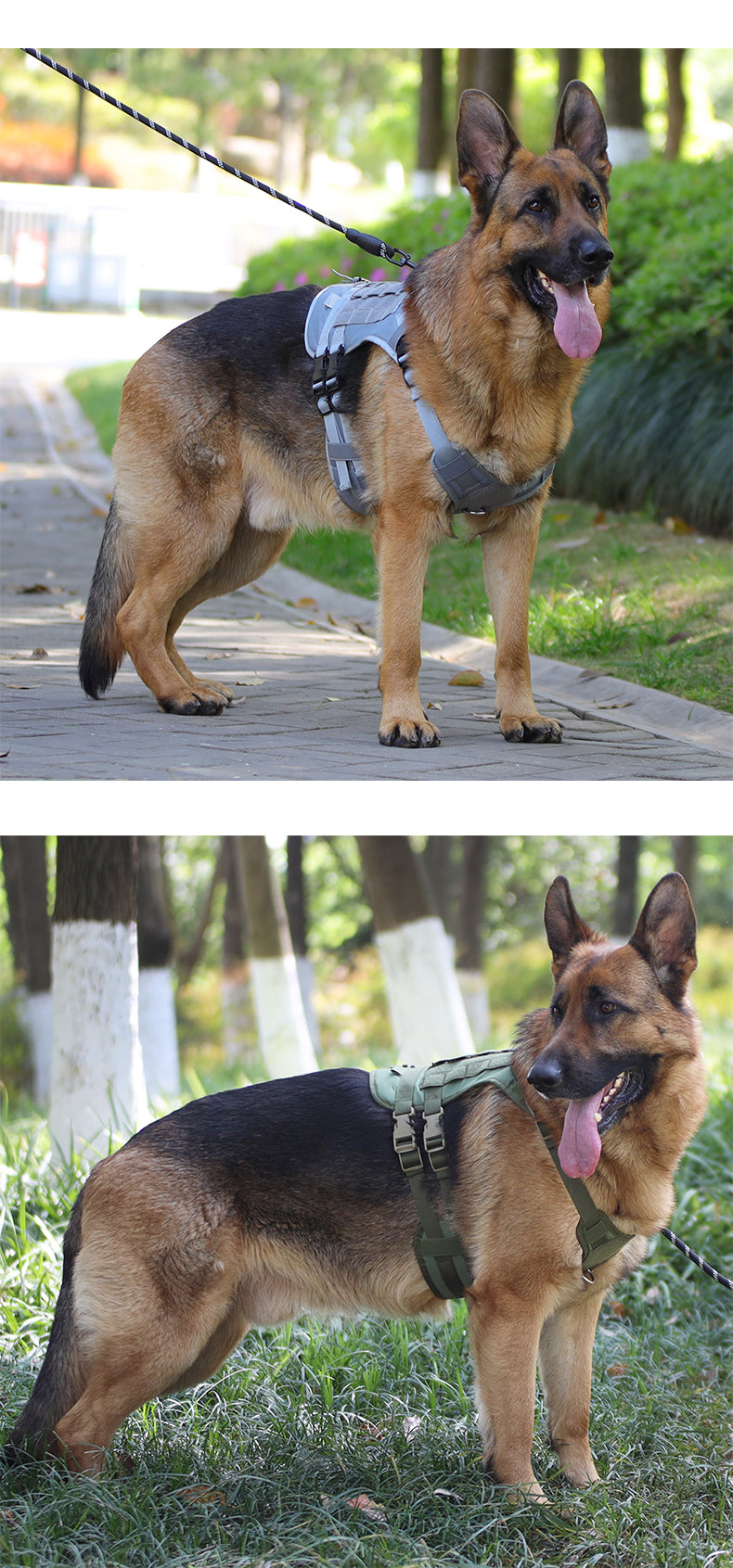 Dog Vest Multifunctional Outdoor Tactical Chest And Back